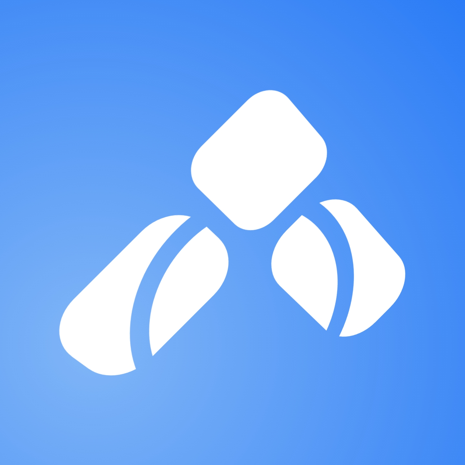 Selsty Foundation - Icon